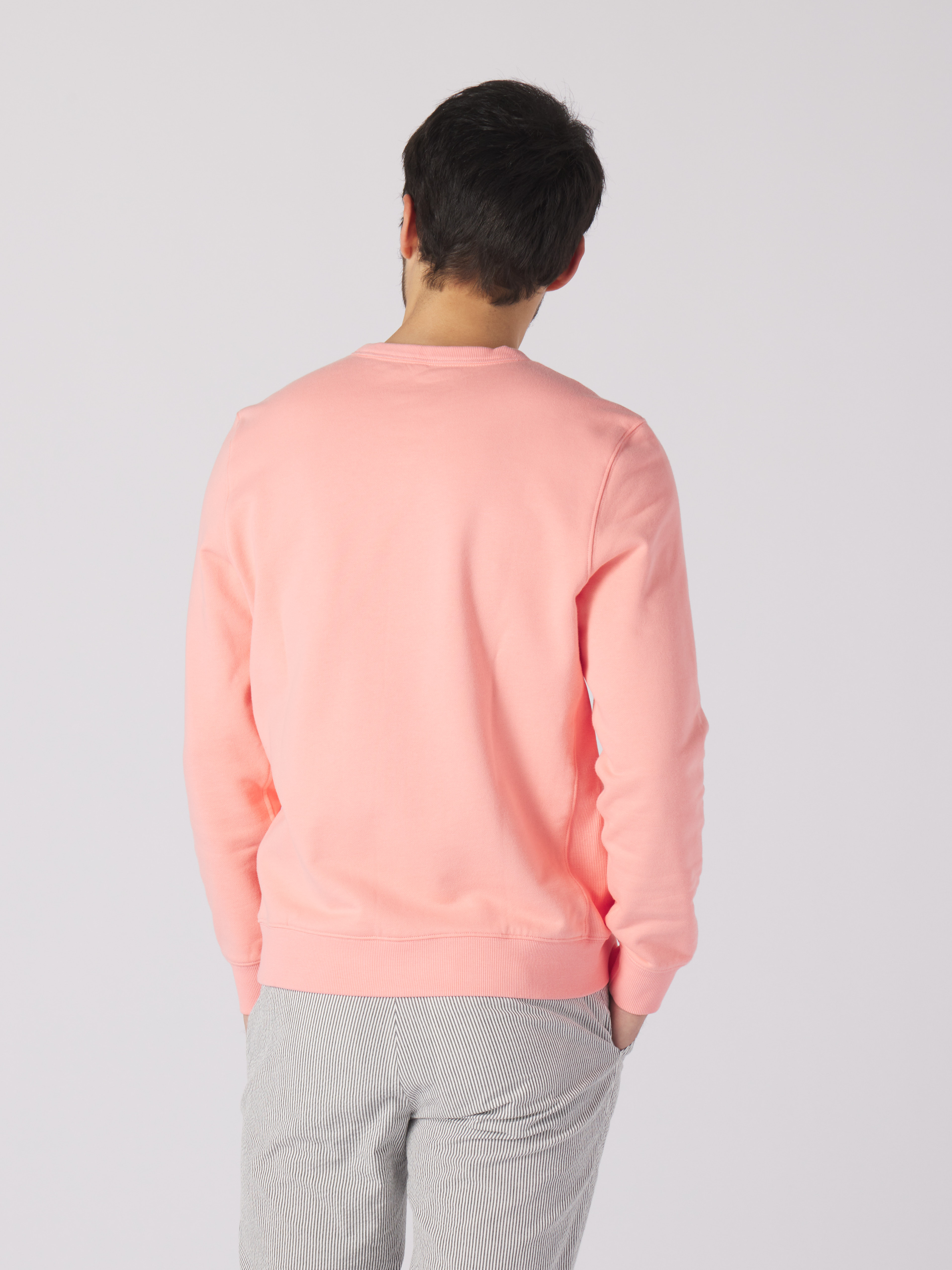 Salmon crewneck on sale